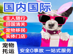 长治王村空运代理国际宠物托运 【国